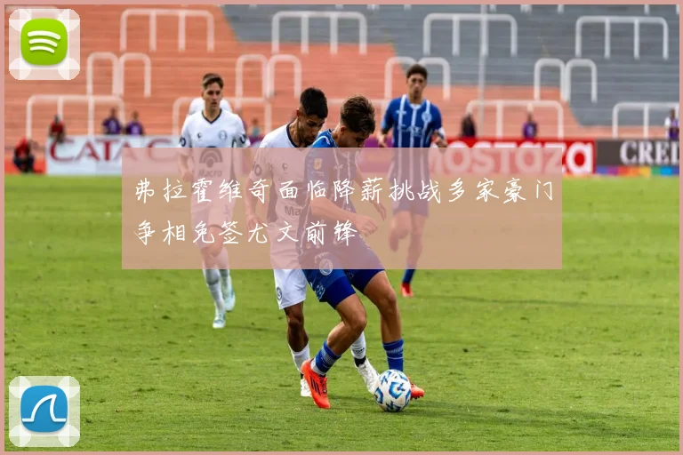 弗拉霍维奇面临降薪挑战多家豪门争相免签尤文前锋