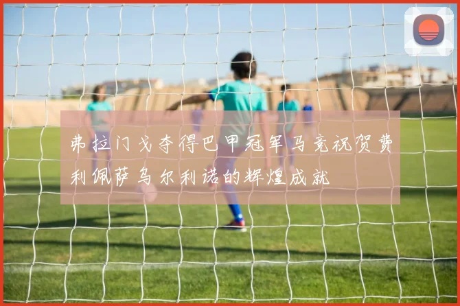 弗拉门戈夺得巴甲冠军马竞祝贺费利佩萨乌尔利诺的辉煌成就