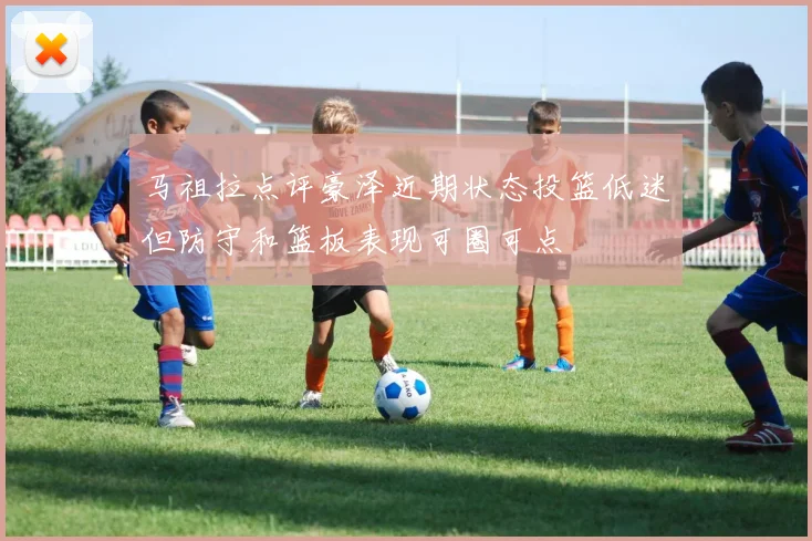 马祖拉点评豪泽近期状态投篮低迷但防守和篮板表现可圈可点