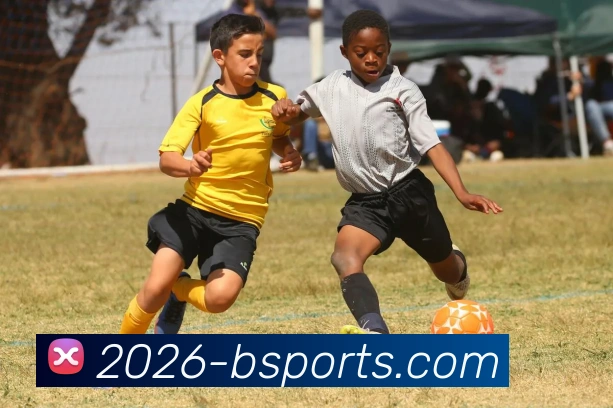 B体育平台生态图